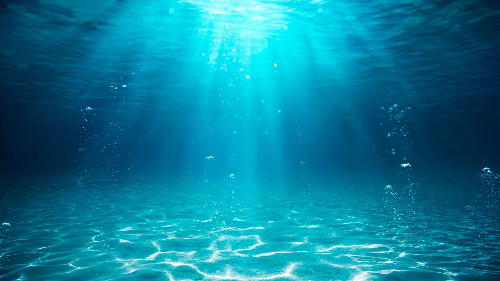 Fundo subaquático — Bah! Aquarismo Porto Alegre