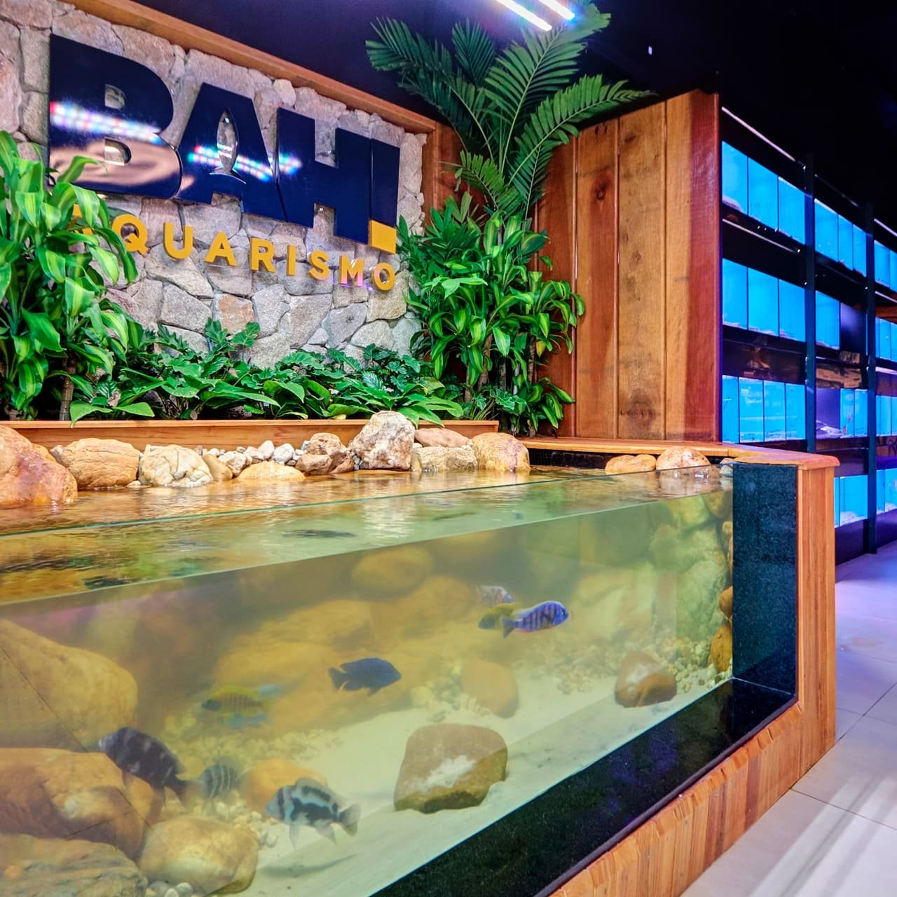 Foto 4 da loja Bah! Aquarismo em Porto Alegre