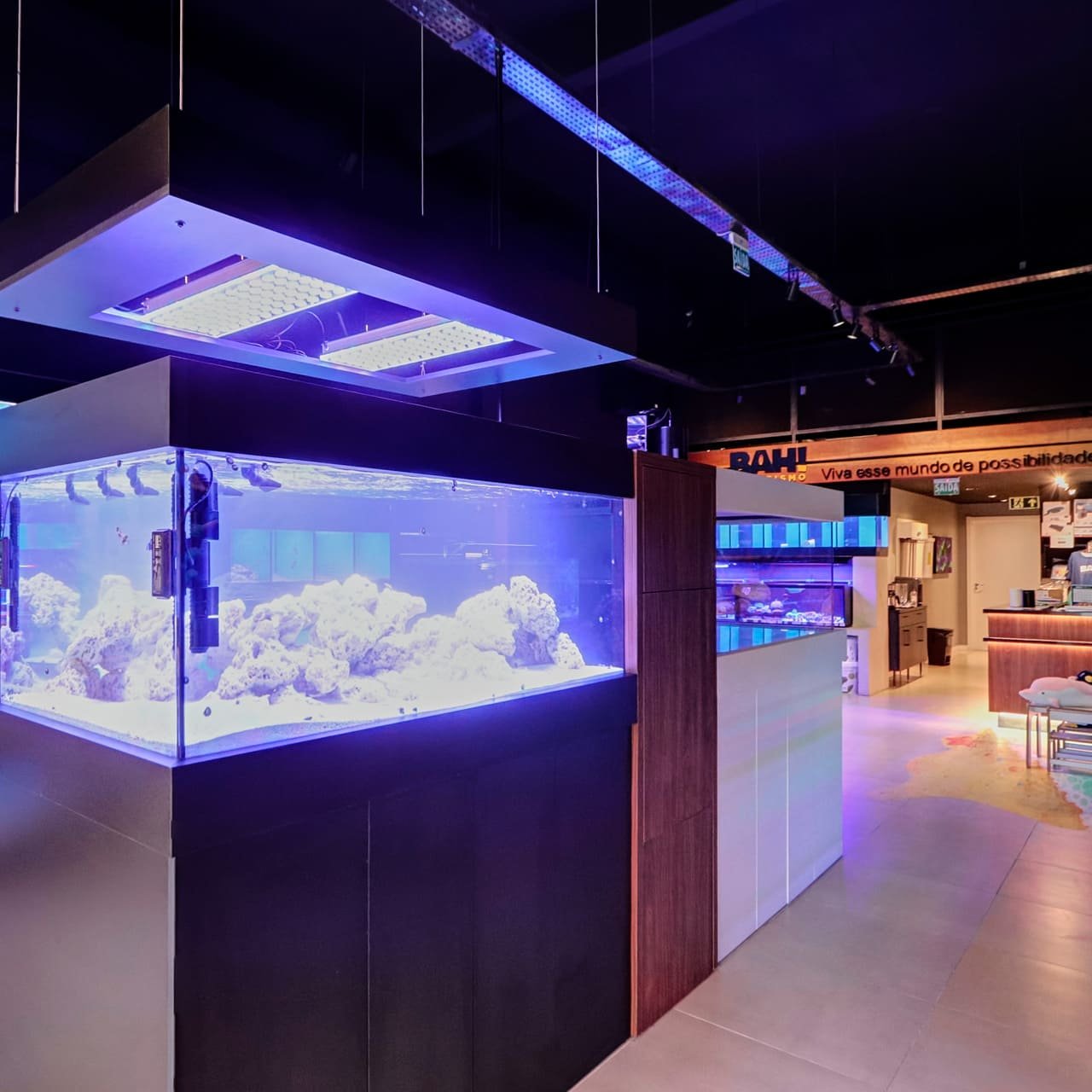 Foto 6 da loja Bah! Aquarismo em Porto Alegre