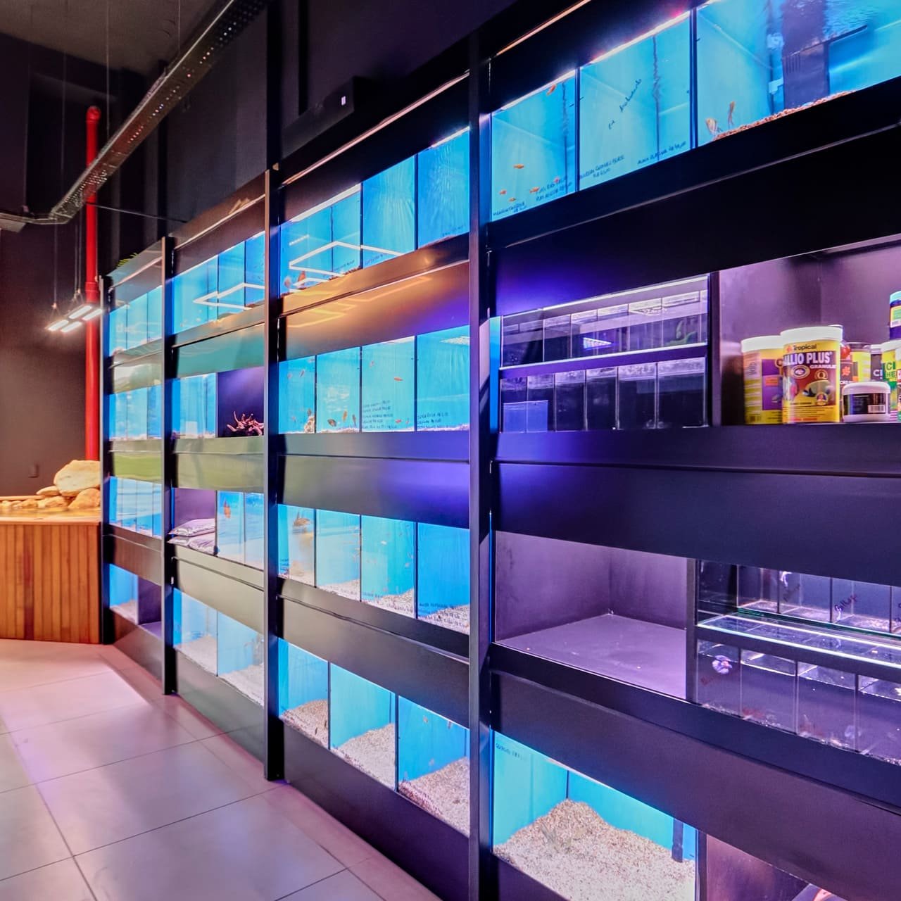 Foto 10 da loja Bah! Aquarismo em Porto Alegre