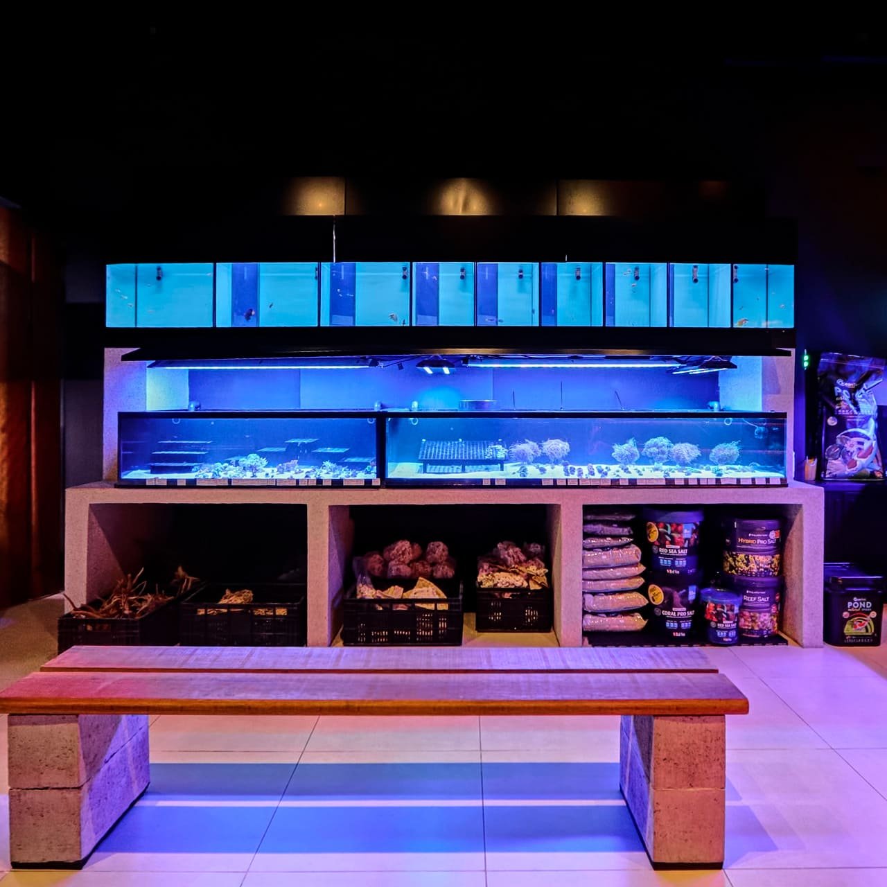 Foto 14 da loja Bah! Aquarismo em Porto Alegre